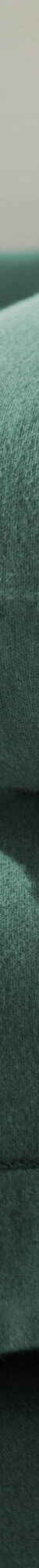 Linge de lit uni flanelle (vert sapin) Linge de lit uni flanelle (vert sapin)
